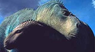 Dinosauri03