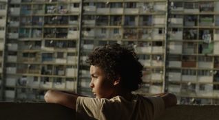 Pelo Malo