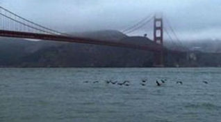 The Bridge