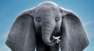 Dumbo