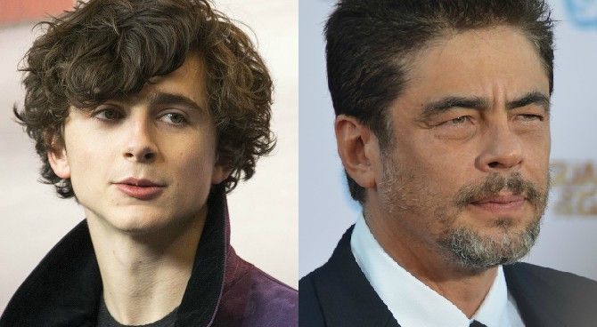 Timothée Chalamet, Benicio Del Toro