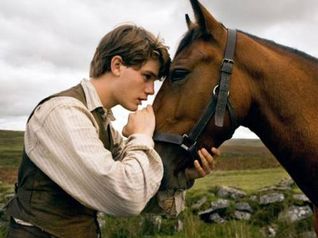 War Horse - Jeremy Irvine