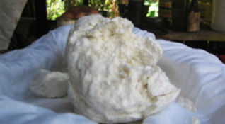 Cocaine