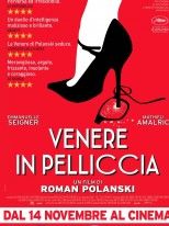 Venere in pelliccia