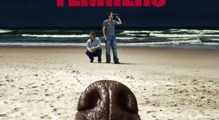 Terriers
