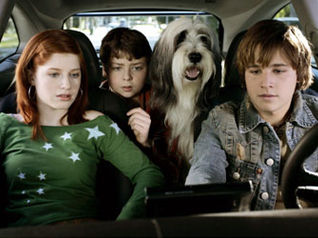 Shaggy Dog