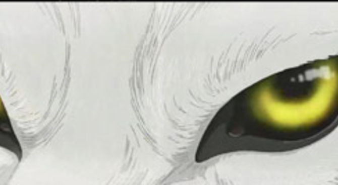 Wolf's Rain