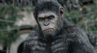 Apes Revolution - Il pianeta delle scimmie