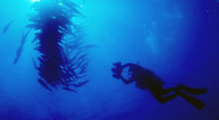 Mediterraneo