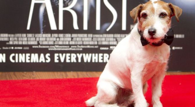 Uggie