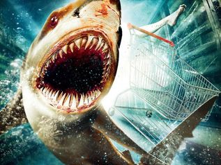 Shark 3D