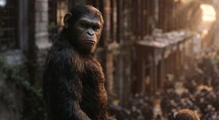 apes revolution