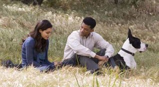 Seven Pounds