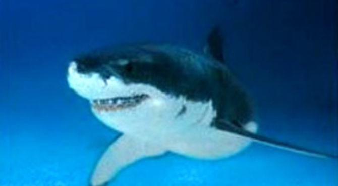 Discovery channel