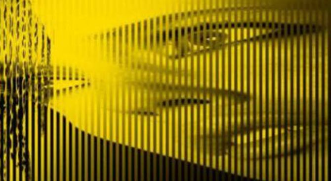 Festival di Locarno 2011