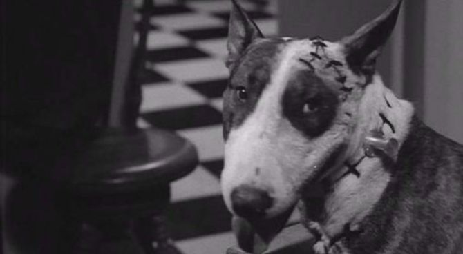Frankenweenie