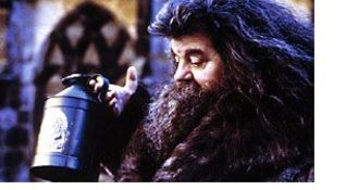 harry potter e la camera dei segreti