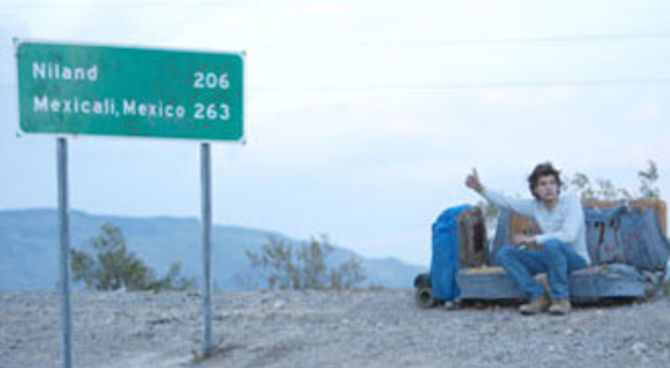 Into the wild