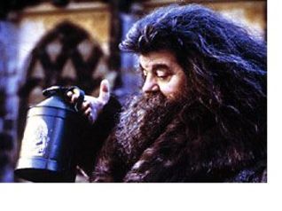 harry potter e la camera dei segreti