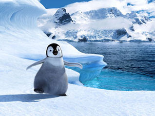 Happy Feet
