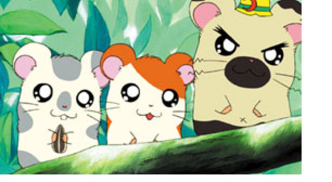 Hamtaro