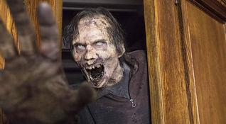 The Walking Dead