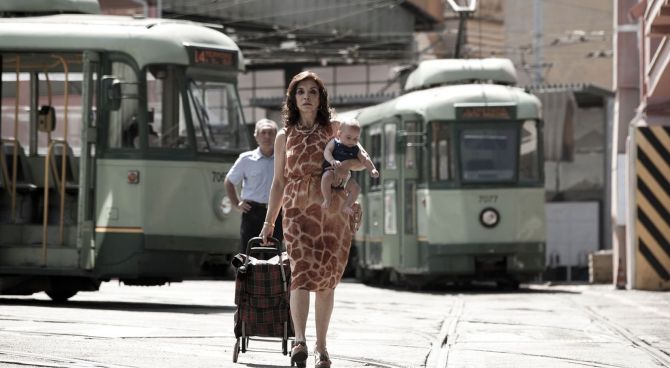  Leone nel basilico