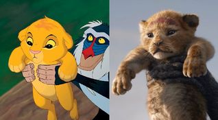 Il Re Leone