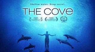 The Cove - Locandina