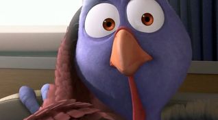 Free Birds