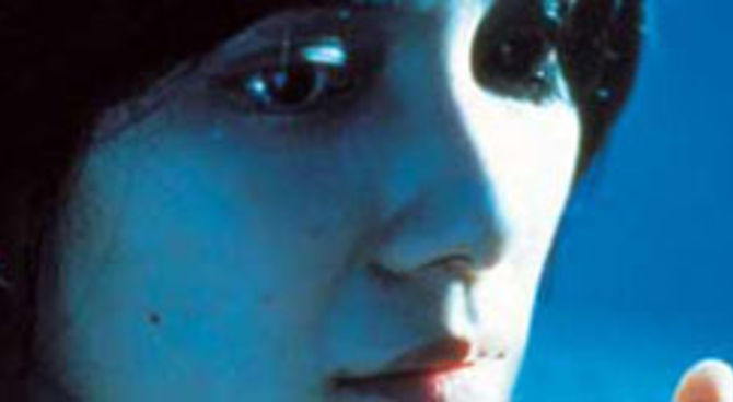 The eye
