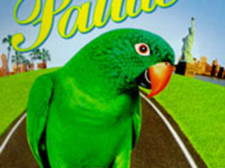 PAULIE - UN PAPPAGALLO CHE PARLAVA TROPPO, dvd