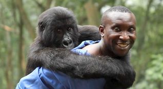 Virunga di Orlando von Einsiedel