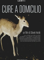 Cure a domicilio