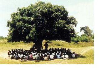 ABC Africa