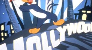 Woody Woodpecker