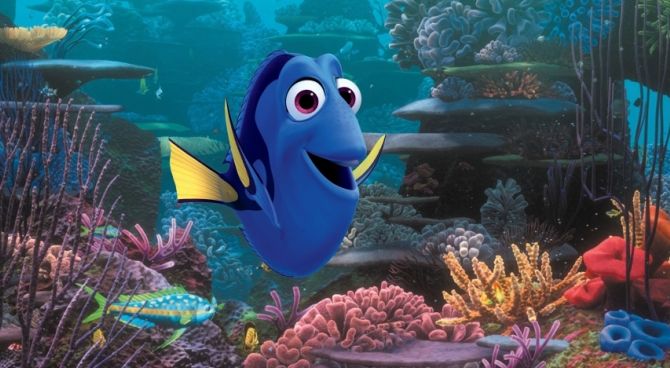 Alla ricerca di Dory