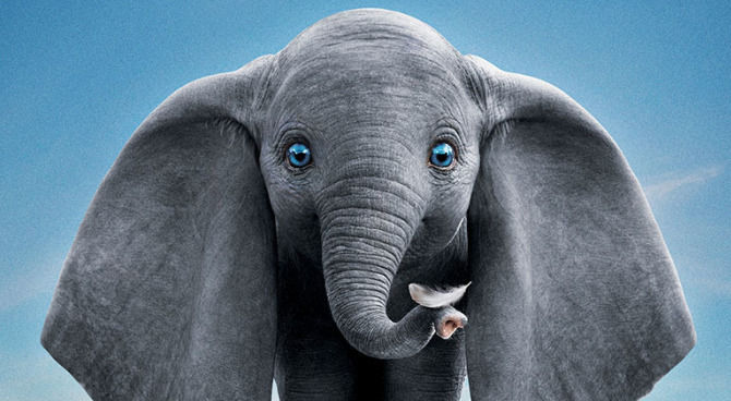 Dumbo