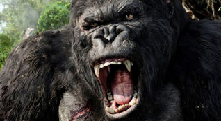KIng Kong