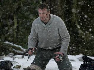 The Grey - Liam Neeson
