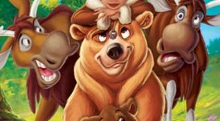 Koda Fratello Orso 2