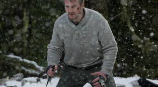 The Grey - Liam Neeson