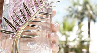 palma d'oro 2008