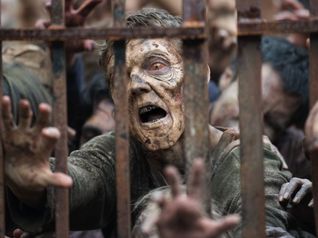 The Walking Dead