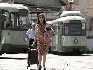  Leone nel basilico