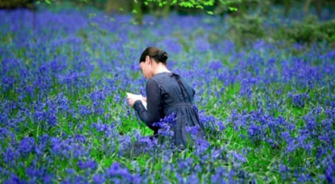 Bright Star - Abbie Cornish