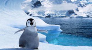 Happy Feet
