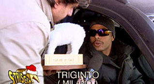 Tapiro
