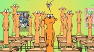 Animal School