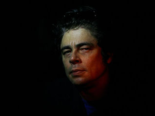 The Wolfman - Benicio Del Toro